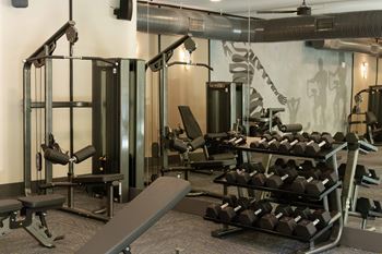 A gym with a variety of equipment including a bench, weights, and a squat rack.